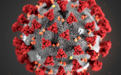 Covid-19 during pregnancy ~ Body Belly Baby