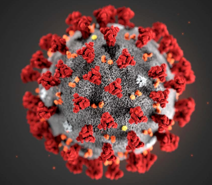 Covid-19 during pregnancy ~ Body Belly Baby