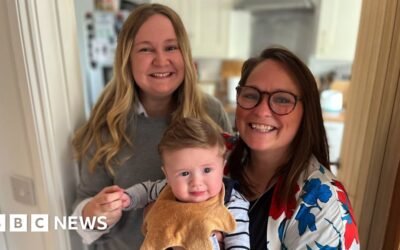 The 'gay tax' facing same-sex couples starting a family