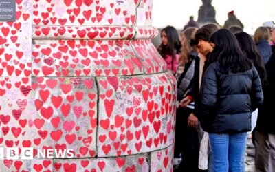 Covid Inquiry focuses on government as stakes rise