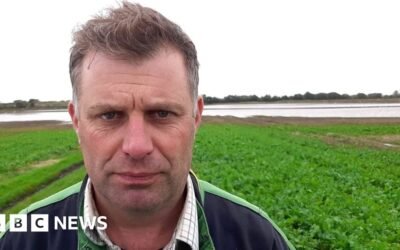 No new mental health support for farmers hit by floods