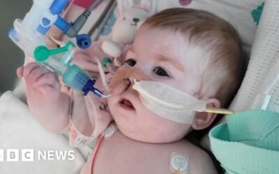 Indi Gregory: Critically ill baby dies after life support turned off