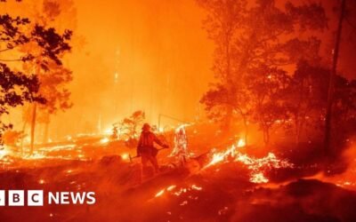 Climate change: Rise in Google searches around ‘anxiety’