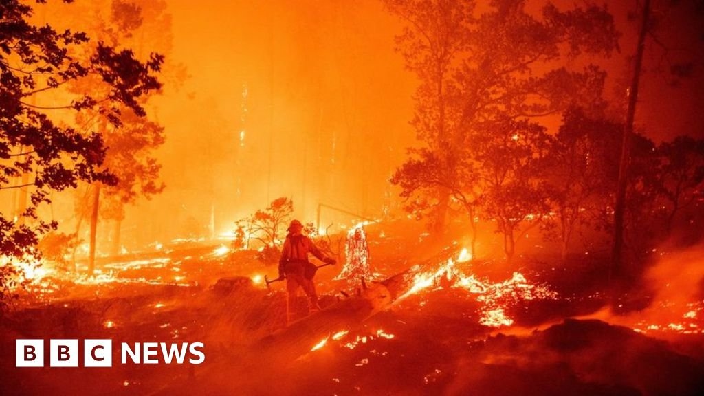 Climate change: Rise in Google searches around ‘anxiety’