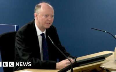 Covid inquiry: First lockdown imposed a bit too late – Whitty