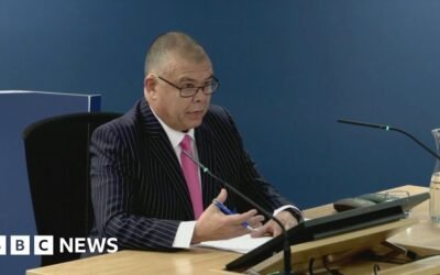 Covid inquiry: Van-Tam family received 'unexpected' death threats