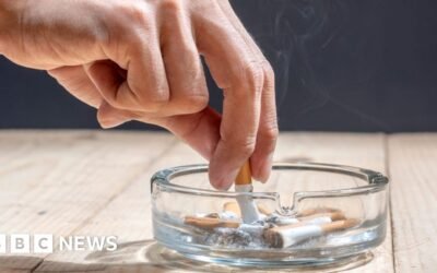 New Zealand smoking ban: Health experts criticise new government's shock reversal