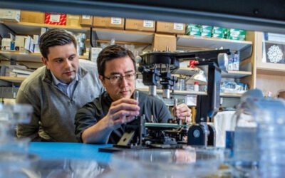 Vivodyne launches with $38M to create lab-grown human organs