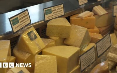 One dead following cheese recall over E. coli