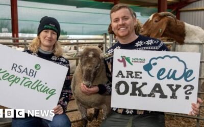 'Loneliest sheep' fronts mental health campaign