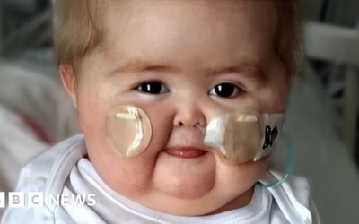 Kettering hospital baby death was investigated by major crime team