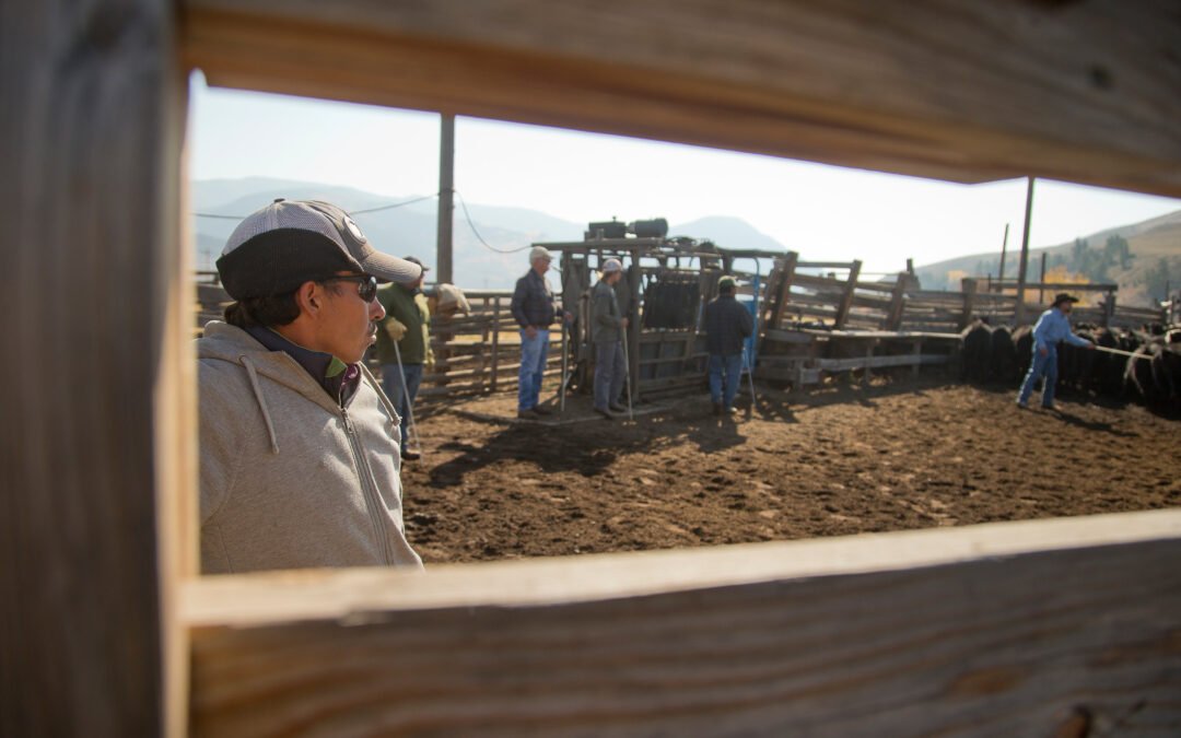 Colorado avanza con proyectos para conectar a trabajadores agrícolas con servicios de salud mental